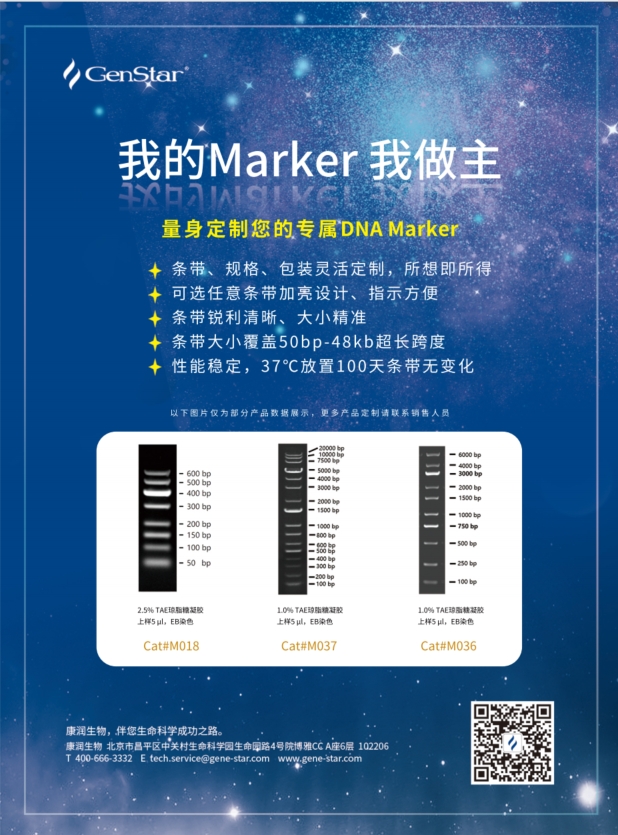 DNA Marker 定制