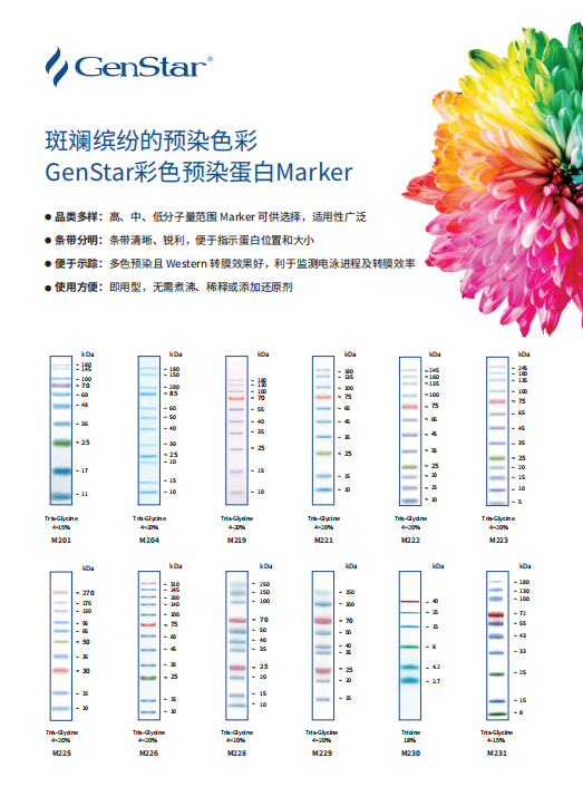蛋白 Marker
