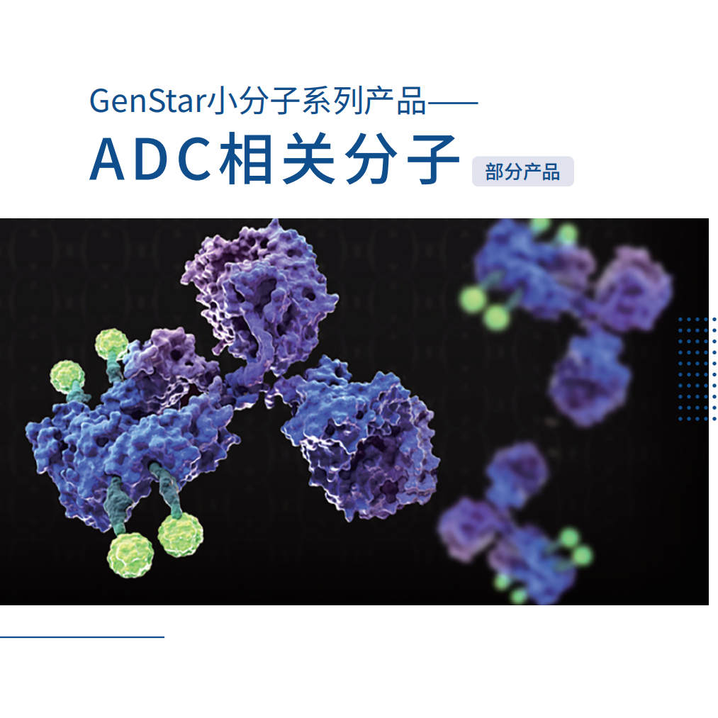 小分子系列-ADC 相关分子