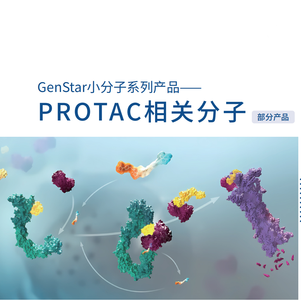 小分子系列-PROTAC 相关分子
