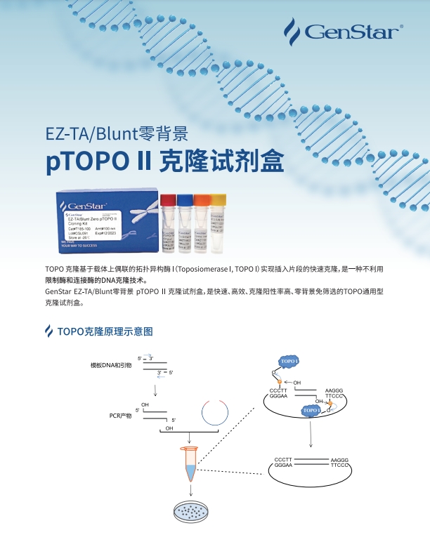 TOPO 克隆产品