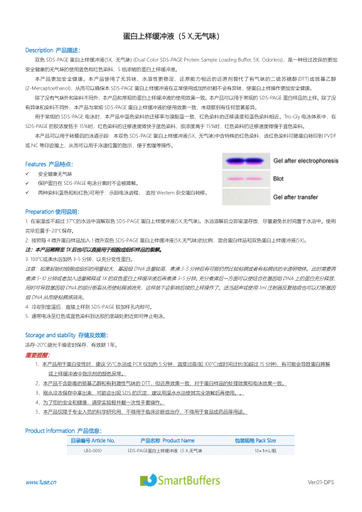 无味蛋白上样缓冲液说明书