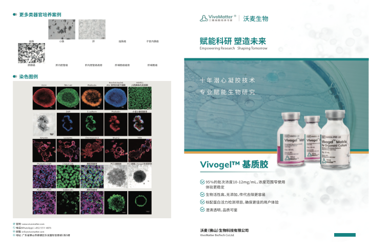 VivoMatter 产品目录册