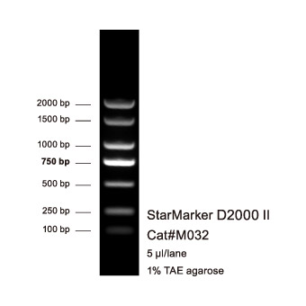 StarMarker D2000 II