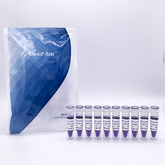 6×DNA 电泳上样缓冲液