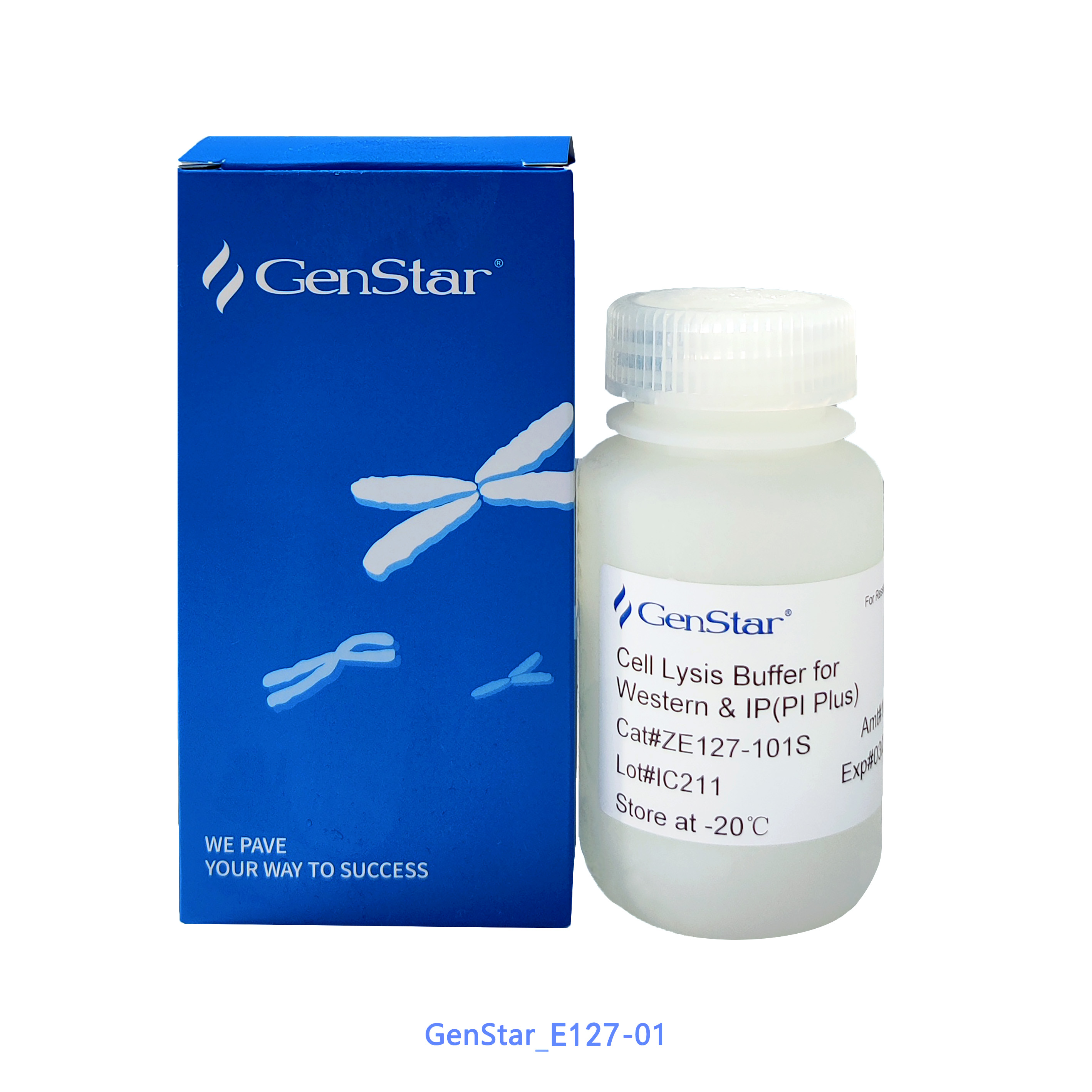 Western及免疫沉淀用细胞裂解液(含蛋白酶抑制剂)