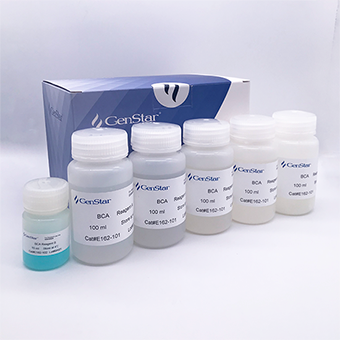 BCA蛋白质定量试剂盒