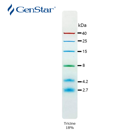 StarRuler彩色低分子量预染蛋白Marker(2.7-40kDa)