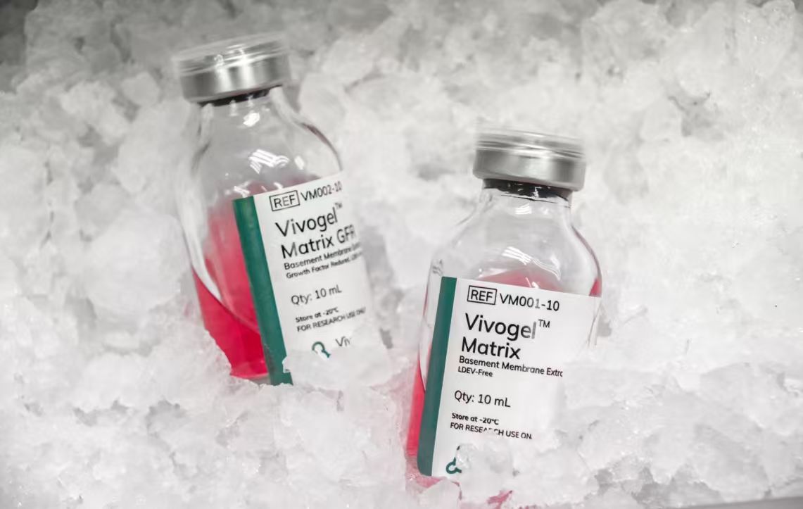 Vivogel™ Matrix GFR, LDEV-Free 低生长因子基质胶